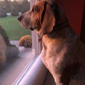 Meet your Posher, Chris